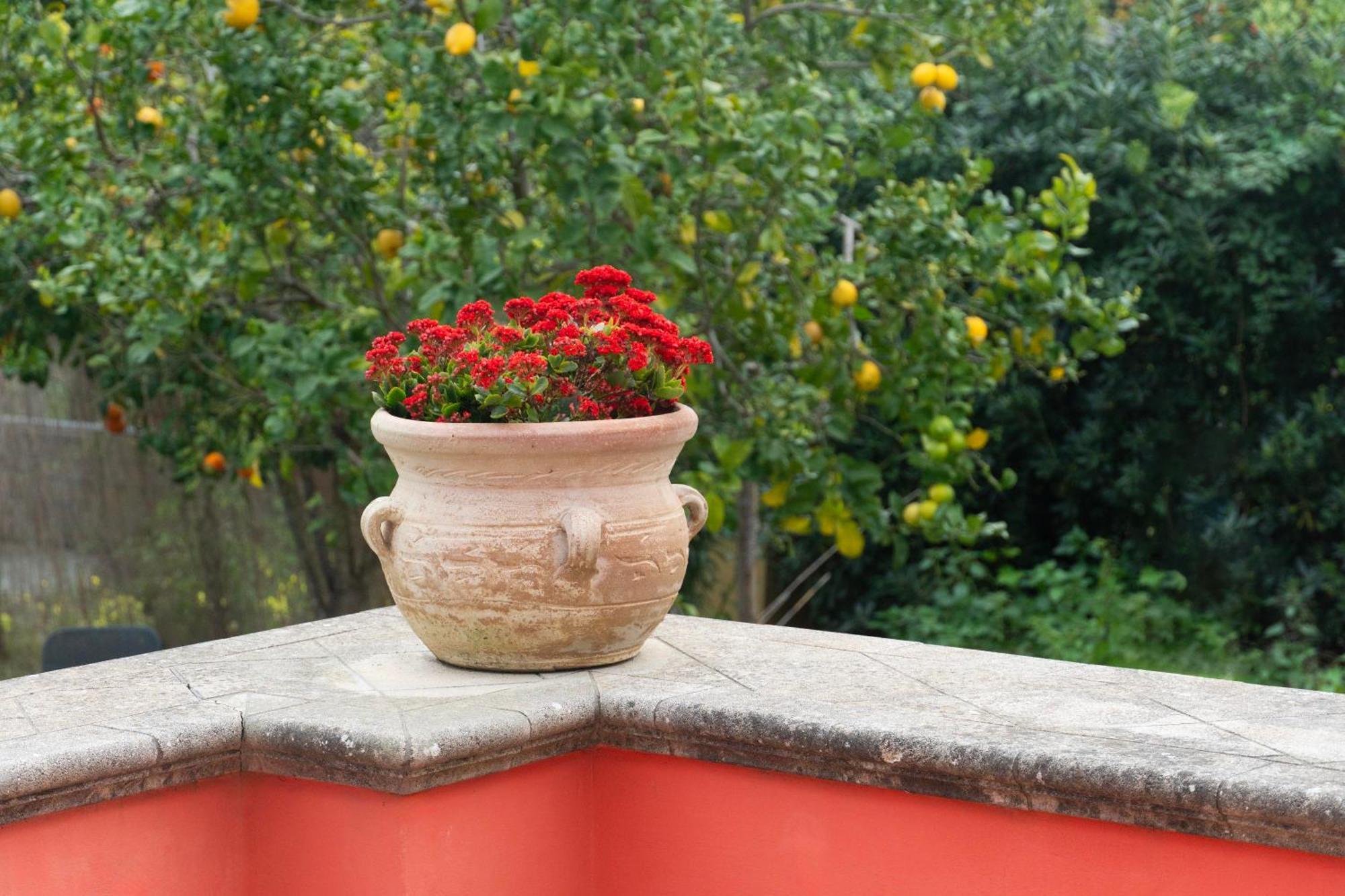 La Terrazza Sul Giardino Daire Redang Island Dış mekan fotoğraf